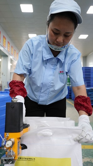 1765598296222102.jpg 编织袋锁包,一等奖,张玲丽.JPG